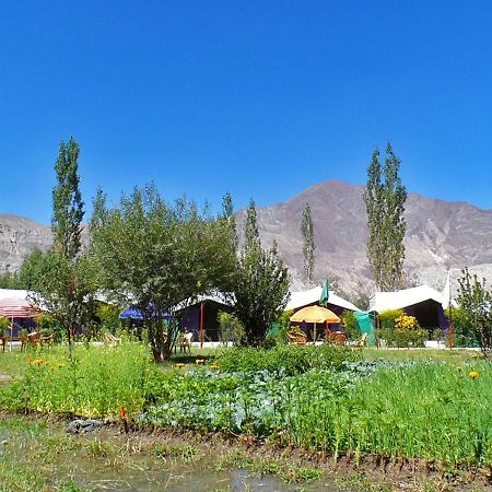 Tiger Camp Nubra Hotel Eksteriør billede