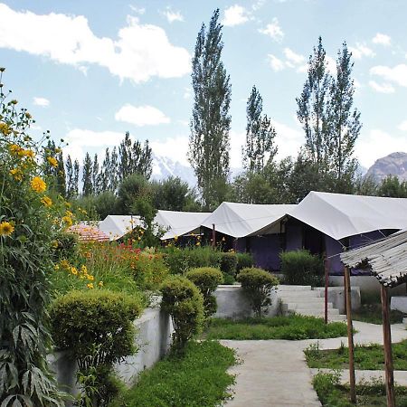 Tiger Camp Nubra Hotel Eksteriør billede