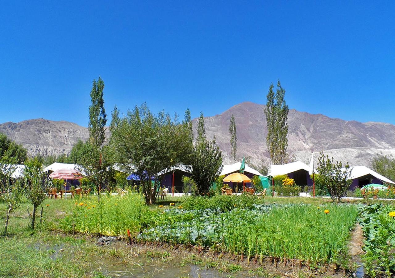 Tiger Camp Nubra Hotel Eksteriør billede