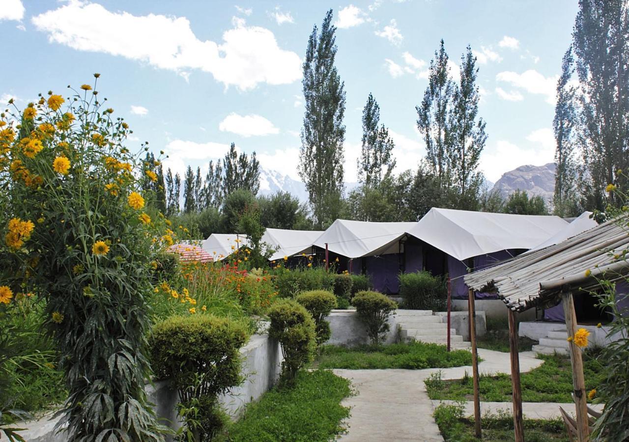 Tiger Camp Nubra Hotel Eksteriør billede