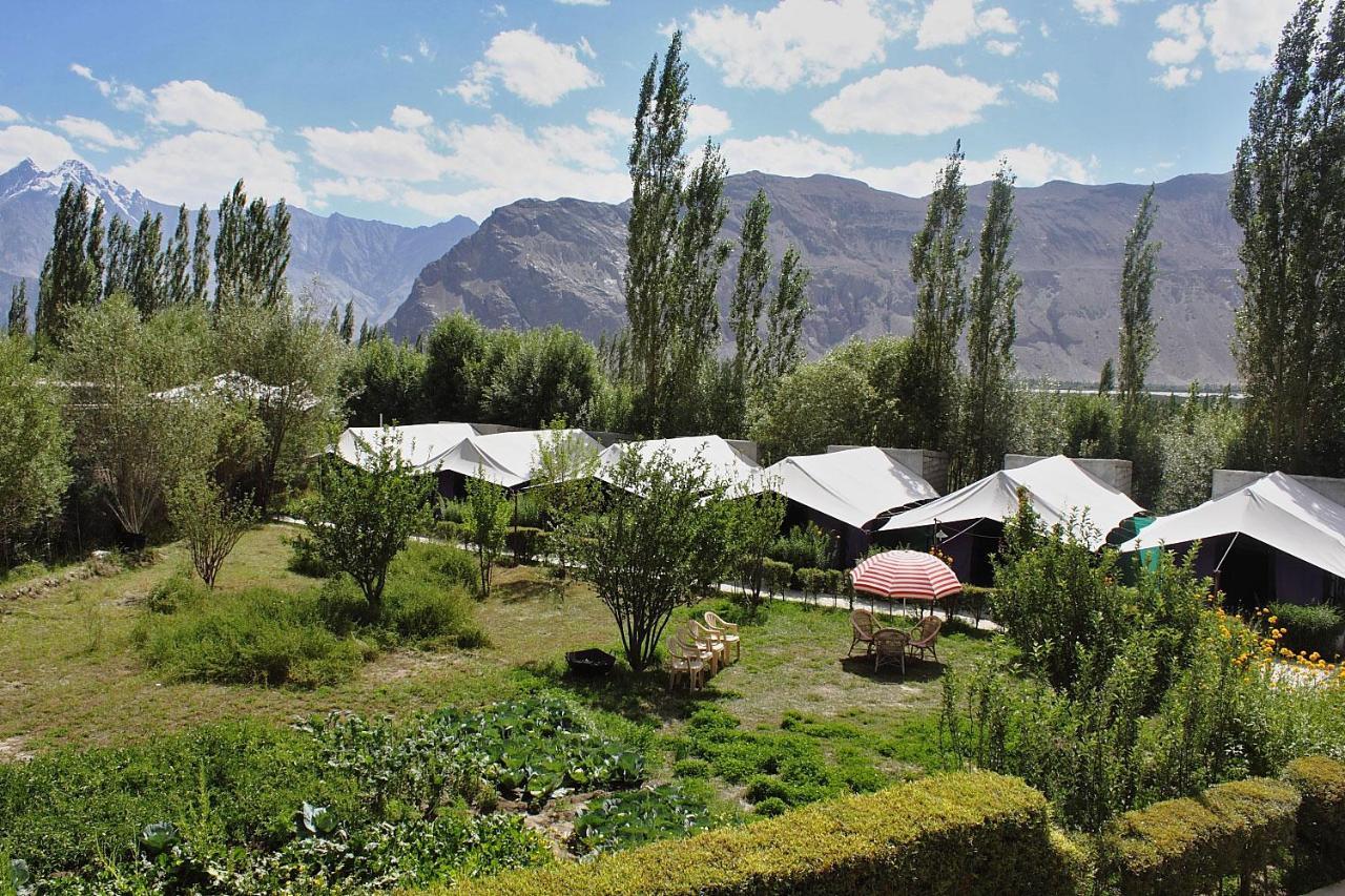 Tiger Camp Nubra Hotel Eksteriør billede